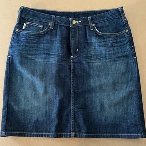 Carhartt Jean Skirt